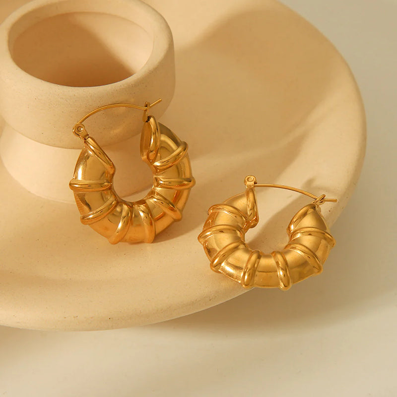 Gold Hoop Stainless Steel Earrings - 296