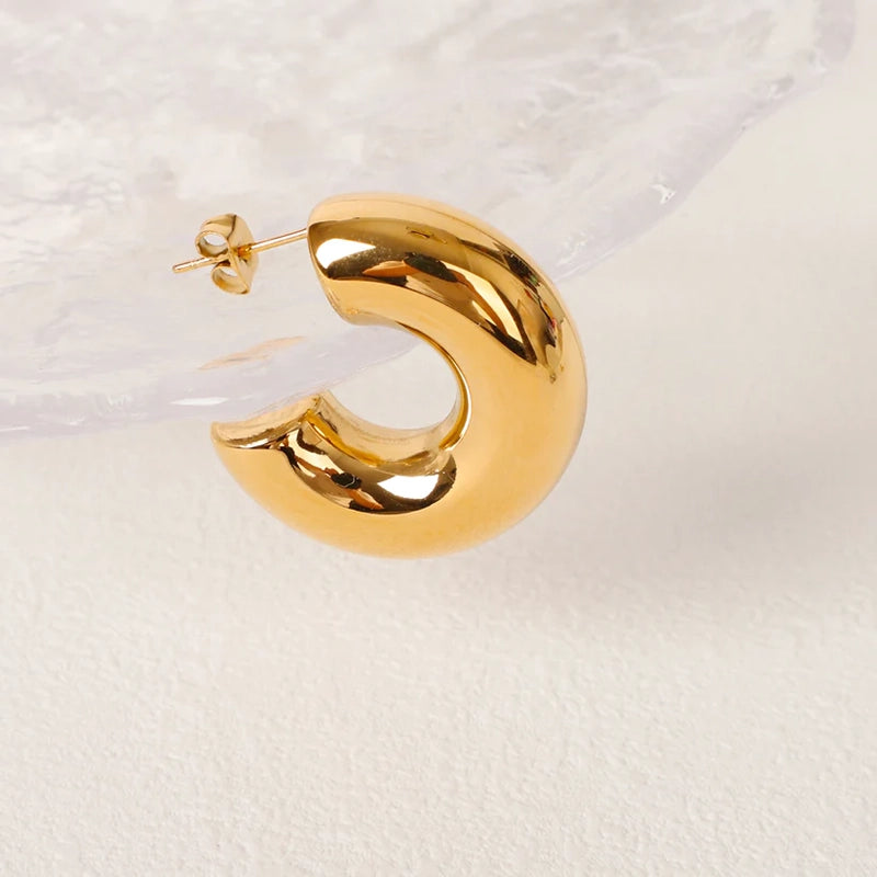 Gold Hoop Stainless Steel Earrings - 189