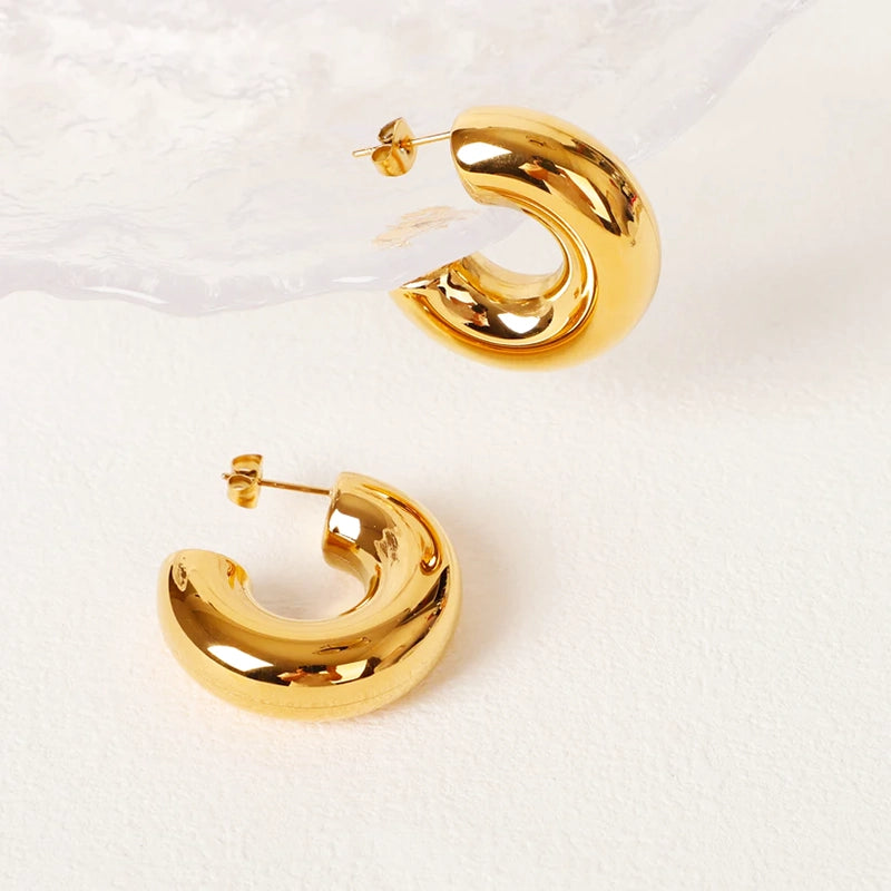 Gold Hoop Stainless Steel Earrings - 189