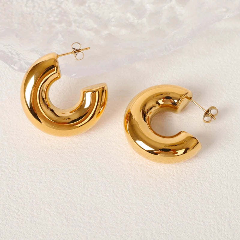 Gold Hoop Stainless Steel Earrings - 189