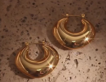 Gold Hoop Stainless Steel Earrings - 295